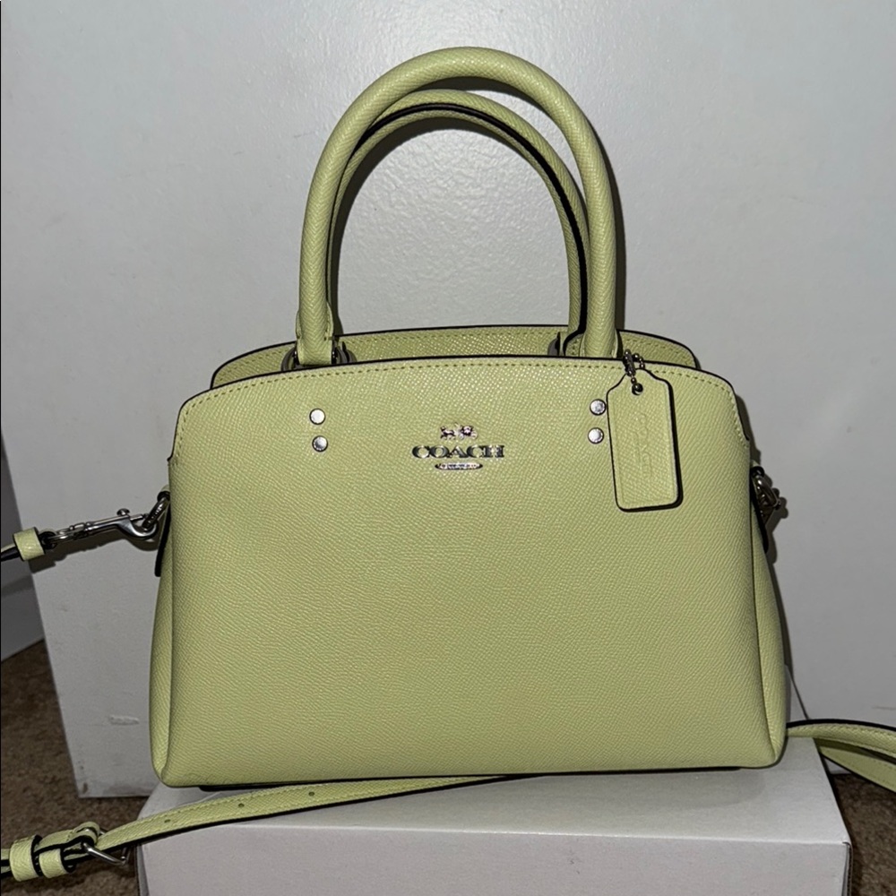 Coach Light Green Handbag
